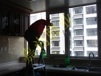 ��԰�׸�8-1101