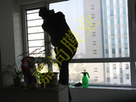 ��겼�԰2-3-1301