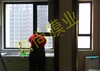 ��������8-2-3104