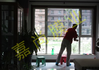 ά������12-2-203