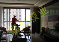 ά������5-3-1303