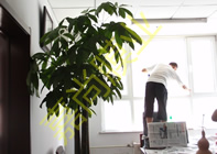 �����ֵ����´�