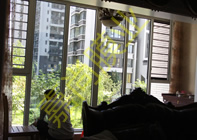 ��԰�׸�10-1-203