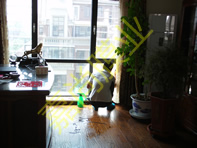 ��ɽ�¹���9-3-502