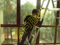 ʯ��ׯֲ��԰