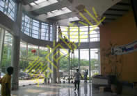 �������й滮չ����