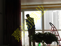 ������԰16-1-1501