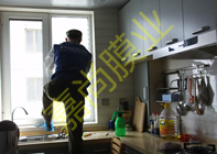 ������԰19-1-2501