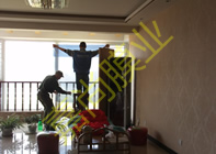 ��԰�׸�8-1304