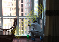 ��ƽʱ��1-3-1002