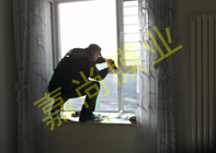 ����´�31-3-702