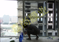 ���ƹ��ʣ�����1-1-1103