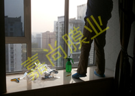 ��԰�׸�14-1901