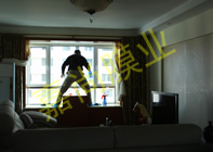 ��������8-1-1004