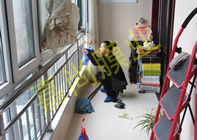 �����³�2-803