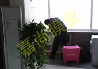 ���黨Է13-1-1701