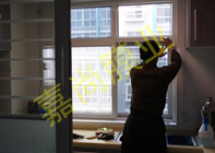 ��̩��԰31-3-1003