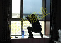 �Ƹ�����5-1-1302