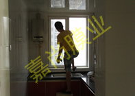 �Ǻ�����11-1-1701