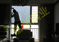 �Ƹ�����4-2-2804