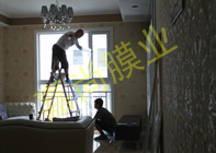 �Ƹ�����5-2-1704