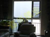 �Ƹ�����4-2-1904