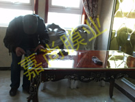 ����ͥԺ4-1-801