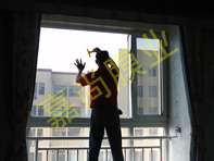 �Ƹ�����2-1-2807