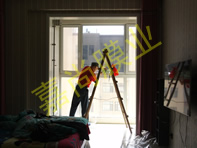 �Ƹ�����3-1-2804