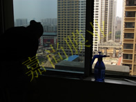 ʢ��󶼻����7-1-1302