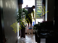 ��ʤ������2-2-504