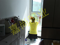 ����ڶ�������3-1-702