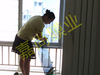 ���ǹ���8-3-1101